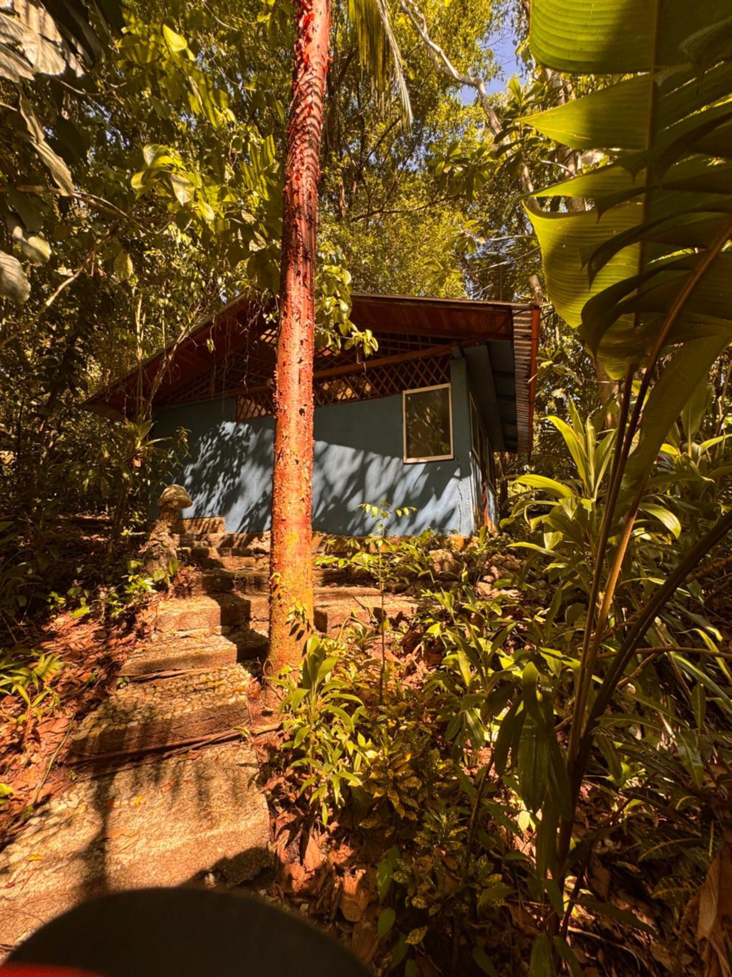 Finca Tatin Hotel Izabal Exterior photo